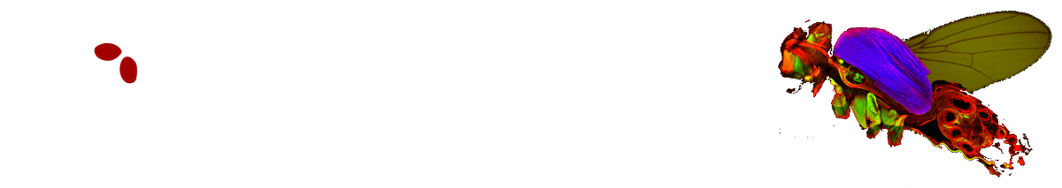 JEDI2016