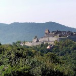 p1000931